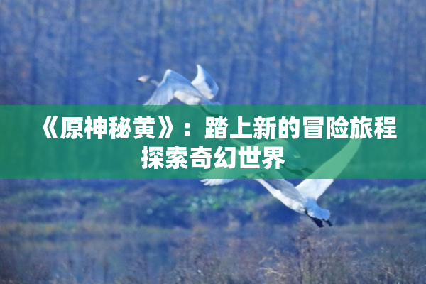《原神秘黄》：踏上新的冒险旅程探索奇幻世界