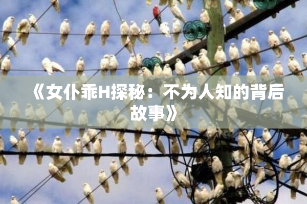 《女仆乖H探秘：不为人知的背后故事》
