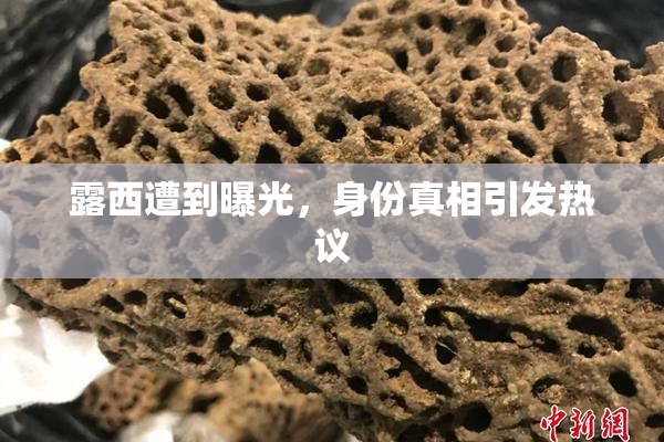 露西遭到曝光，身份真相引发热议