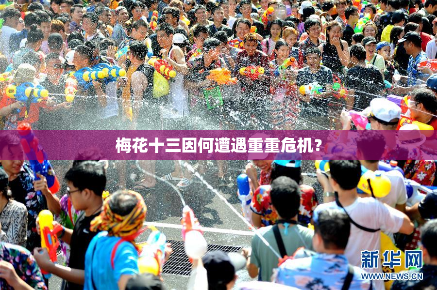梅花十三因何遭遇重重危机？