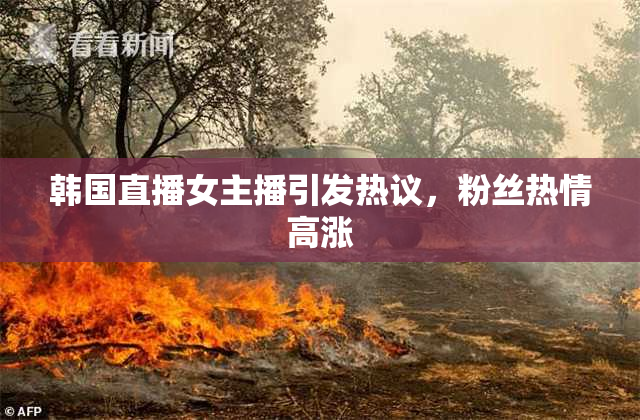 韩国直播女主播引发热议，粉丝热情高涨