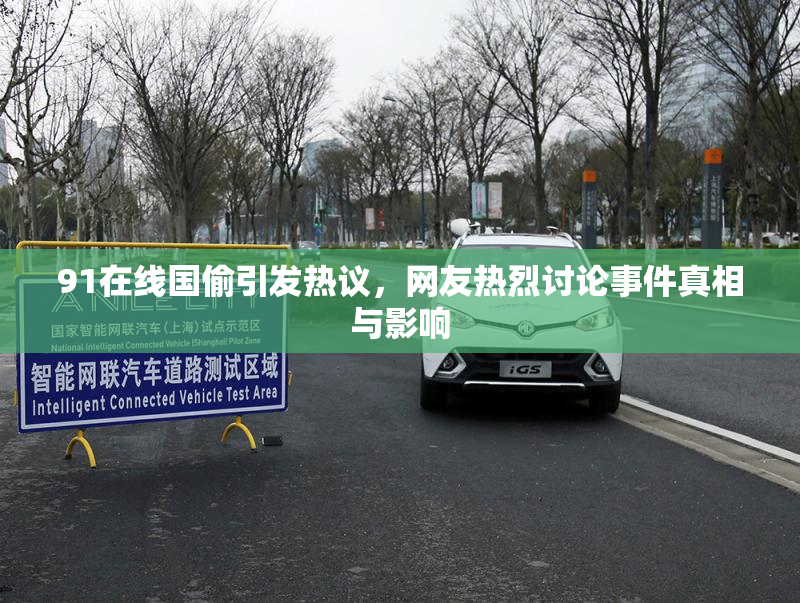 91在线国偷引发热议，网友热烈讨论事件真相与影响