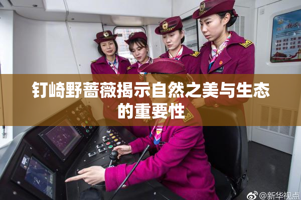 钉崎野蔷薇揭示自然之美与生态的重要性
