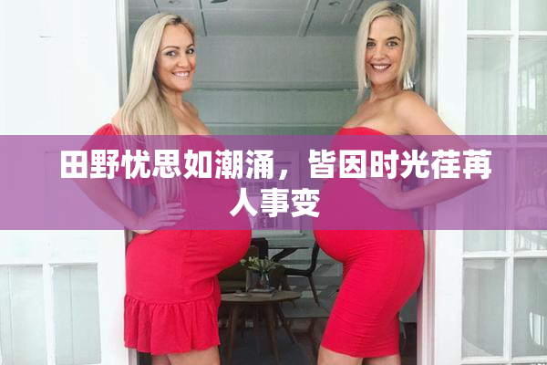 田野忧思如潮涌，皆因时光荏苒人事变