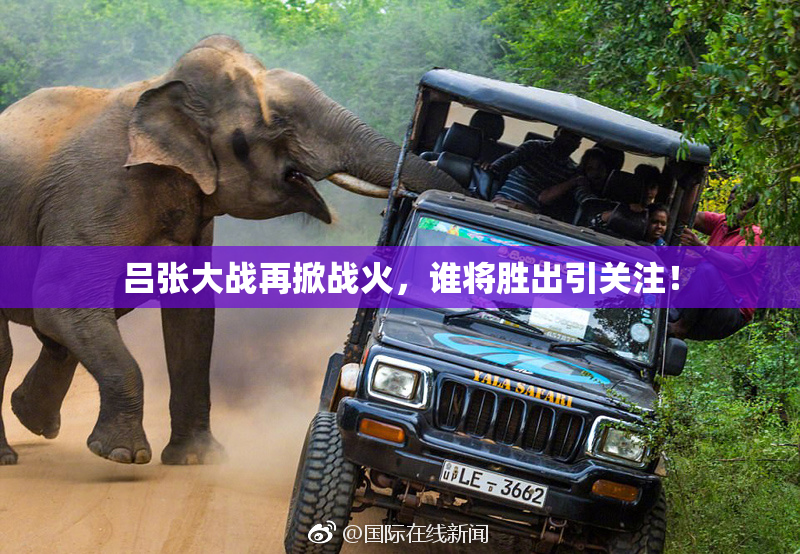 吕张大战再掀战火，谁将胜出引关注！