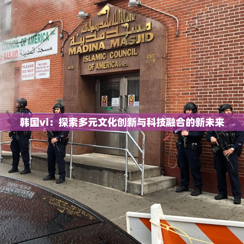 韩国vi：探索多元文化创新与科技融合的新未来