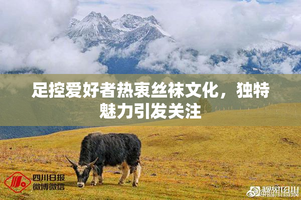 足控爱好者热衷丝袜文化，独特魅力引发关注