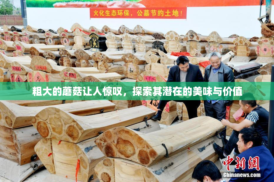 粗大的蘑菇让人惊叹，探索其潜在的美味与价值
