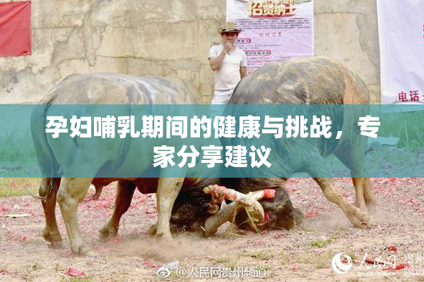 孕妇哺乳期间的健康与挑战，专家分享建议
