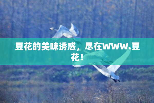 豆花的美味诱惑，尽在WWW.豆花！