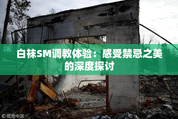 白袜SM调教体验：感受禁忌之美的深度探讨