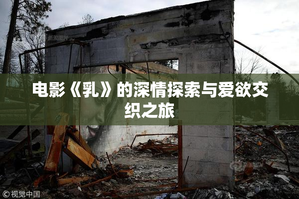 电影《乳》的深情探索与爱欲交织之旅