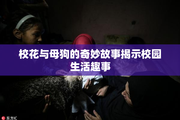 校花与母狗的奇妙故事揭示校园生活趣事