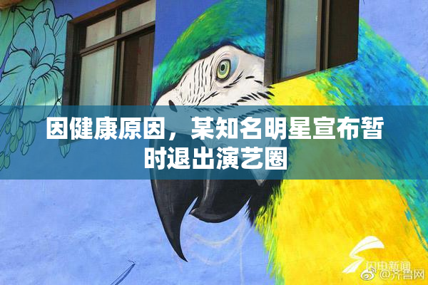 因健康原因，某知名明星宣布暂时退出演艺圈