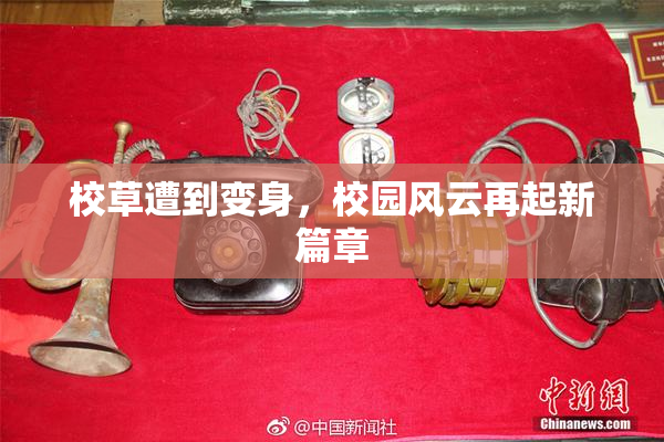 校草遭到变身，校园风云再起新篇章