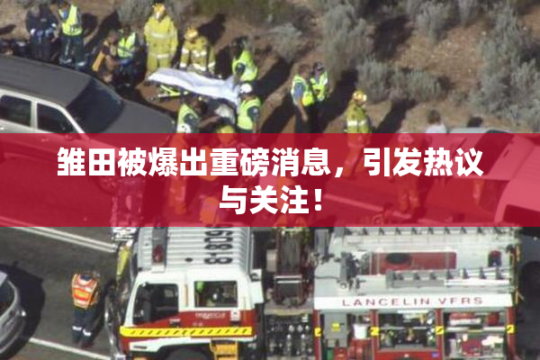 雏田被爆出重磅消息，引发热议与关注！