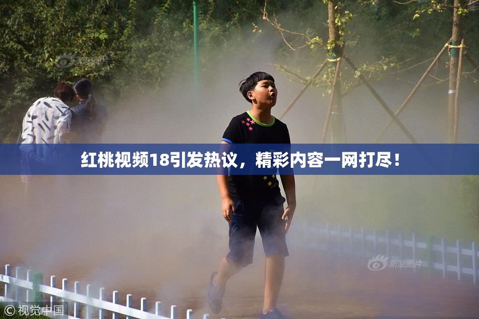 红桃视频18引发热议，精彩内容一网打尽！