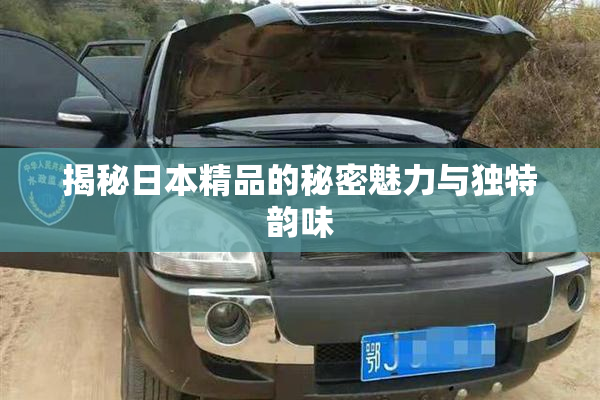 揭秘日本精品的秘密魅力与独特韵味