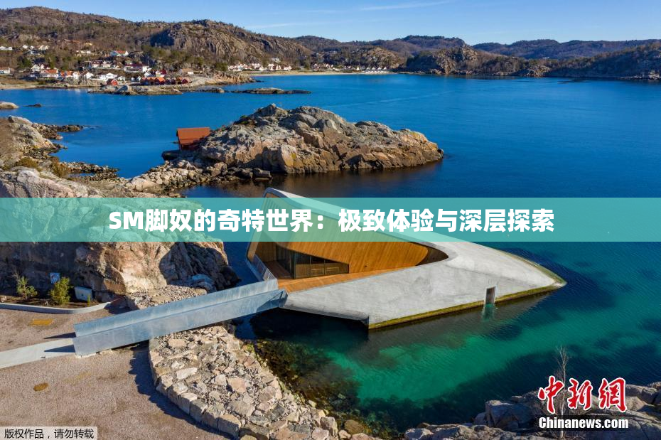 SM脚奴的奇特世界：极致体验与深层探索