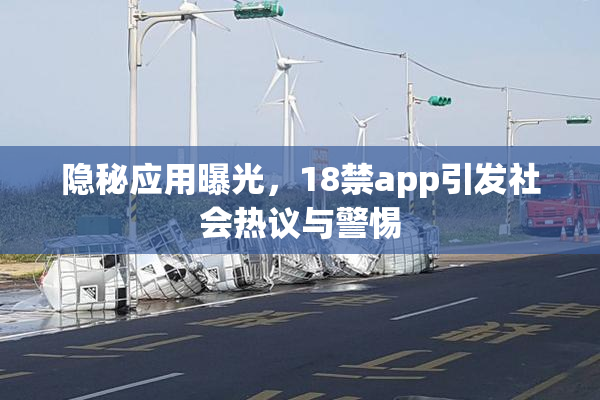 隐秘应用曝光，18禁app引发社会热议与警惕