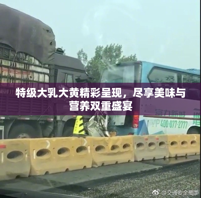 特级大乳大黄精彩呈现，尽享美味与营养双重盛宴