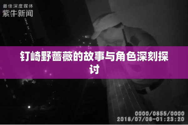 钉崎野蔷薇的故事与角色深刻探讨