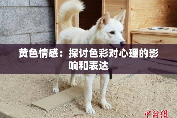 黄色情感：探讨色彩对心理的影响和表达