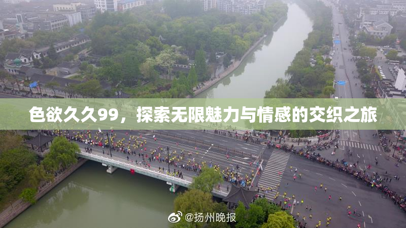 色欲久久99，探索无限魅力与情感的交织之旅
