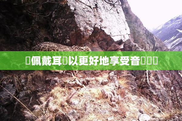 請佩戴耳機以更好地享受音樂體驗
