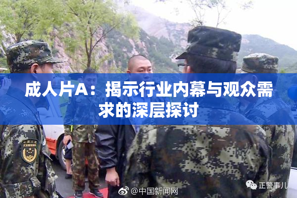 成人片A：揭示行业内幕与观众需求的深层探讨