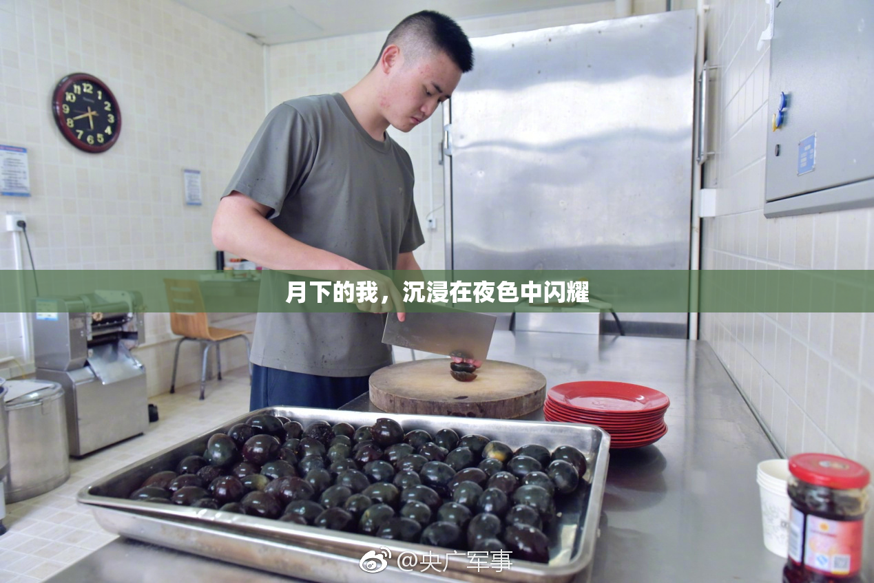 月下的我，沉浸在夜色中闪耀