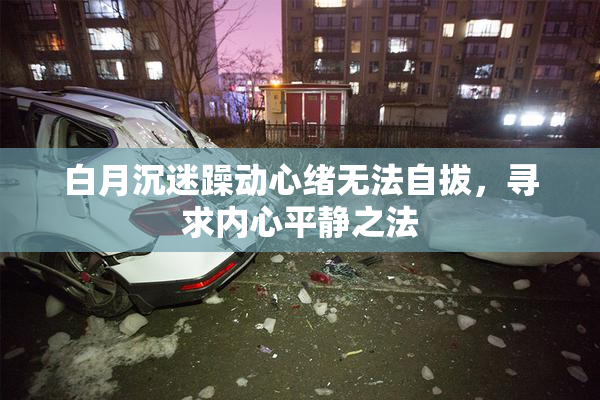 白月沉迷躁动心绪无法自拔，寻求内心平静之法