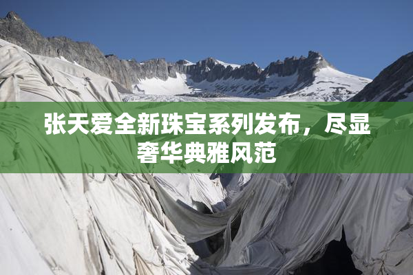 张天爱全新珠宝系列发布，尽显奢华典雅风范