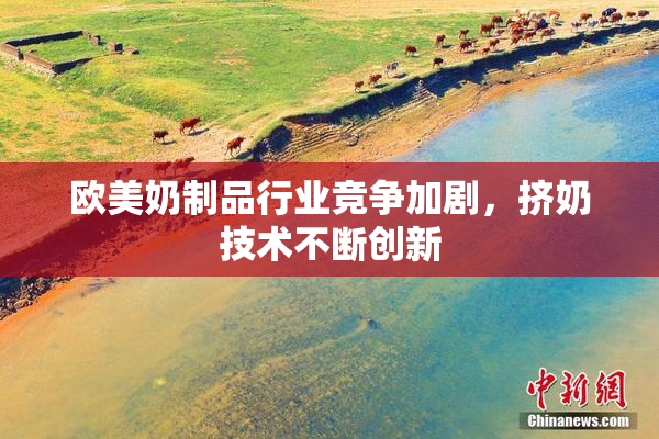 欧美奶制品行业竞争加剧，挤奶技术不断创新