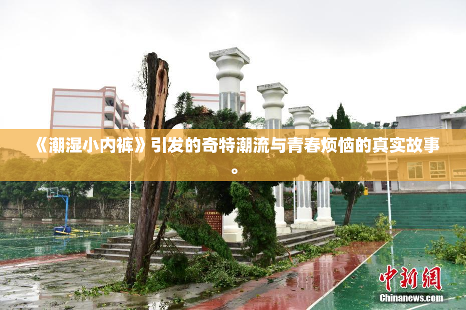 《潮湿小内裤》引发的奇特潮流与青春烦恼的真实故事。