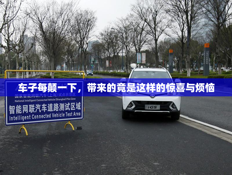 车子每颠一下，带来的竟是这样的惊喜与烦恼