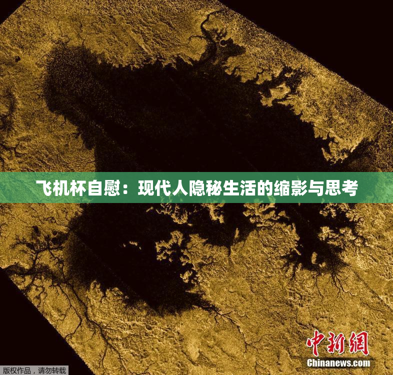 飞机杯自慰：现代人隐秘生活的缩影与思考