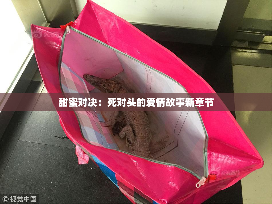 甜蜜对决：死对头的爱情故事新章节