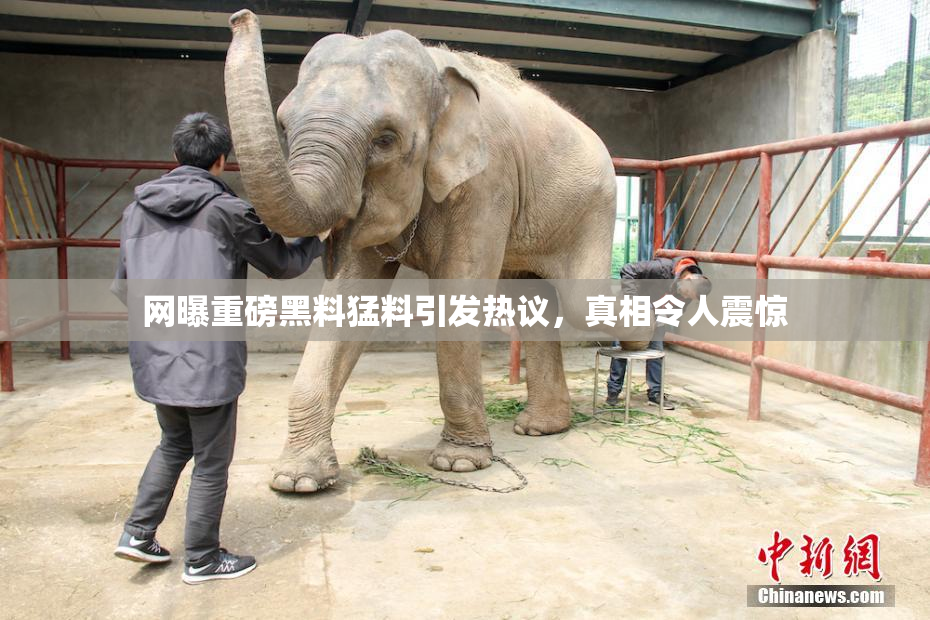 网曝重磅黑料猛料引发热议，真相令人震惊