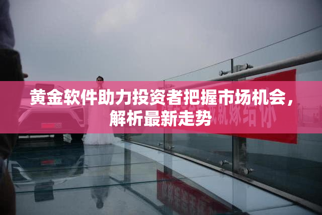 黄金软件助力投资者把握市场机会，解析最新走势