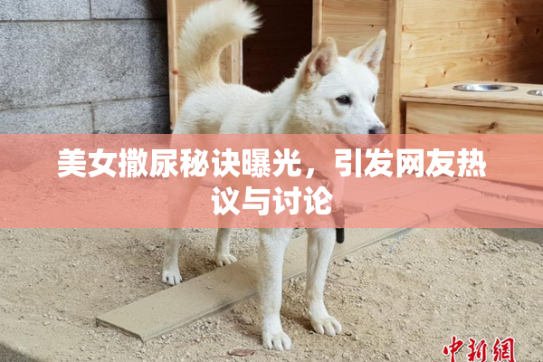 美女撒尿秘诀曝光，引发网友热议与讨论