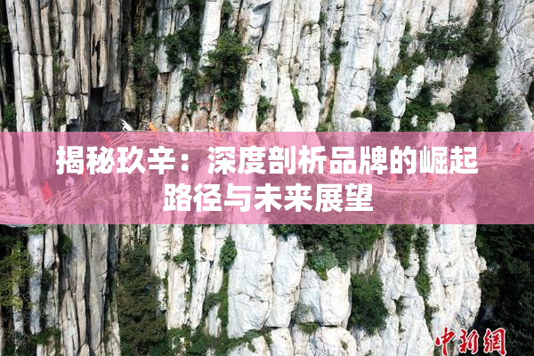 揭秘玖辛：深度剖析品牌的崛起路径与未来展望