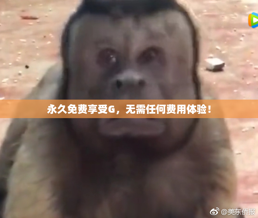 永久免费享受G，无需任何费用体验！