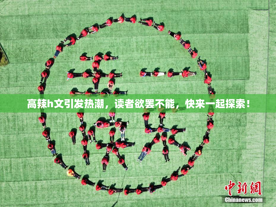 高辣h文引发热潮，读者欲罢不能，快来一起探索！