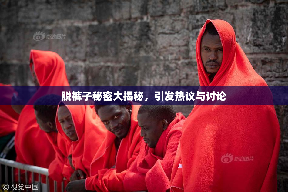 脱裤子秘密大揭秘，引发热议与讨论