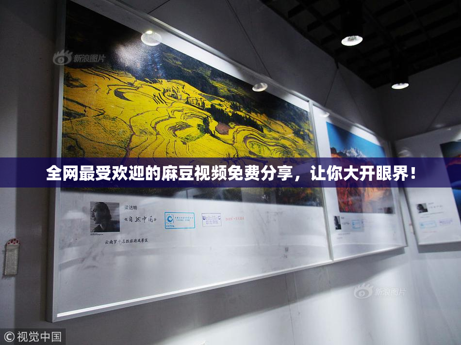 全网最受欢迎的麻豆视频免费分享，让你大开眼界！
