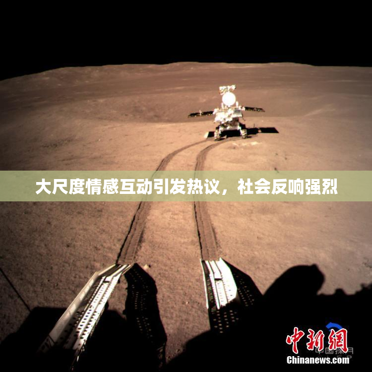 大尺度情感互动引发热议，社会反响强烈