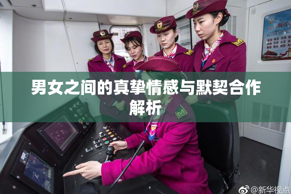 男女之间的真挚情感与默契合作解析