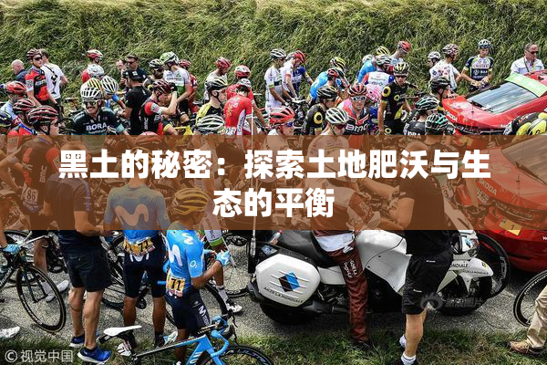 黑土的秘密：探索土地肥沃与生态的平衡
