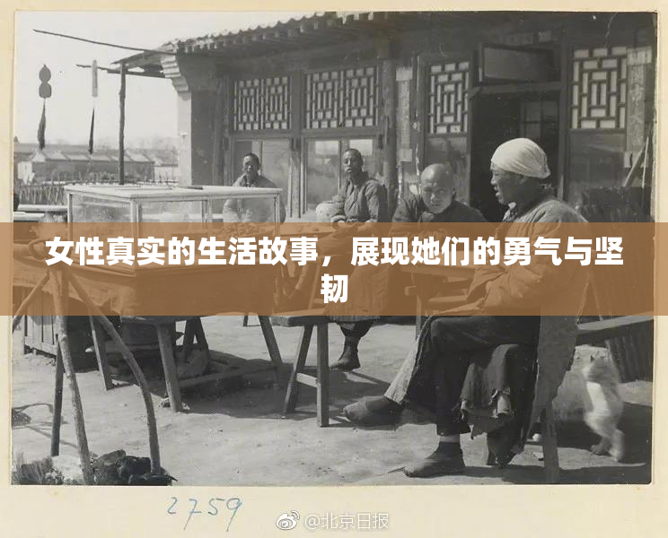 女性真实的生活故事，展现她们的勇气与坚韧